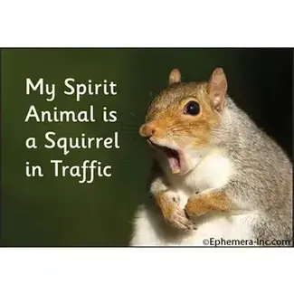 Ephemera Magnet - My Spirit Animal Is A Squirrel In Traffic.