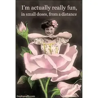 Ephemera Magnet - I'm Actually Really Fun, In Small Doses, From A….