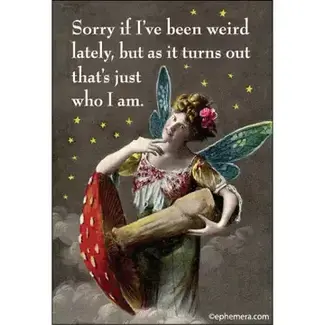 Ephemera Magnet - Sorry If I've Been Weird Lately, But As It Turns Out