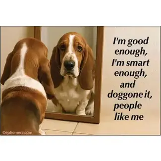 Ephemera Magnet - I'm Good Enough, I'm Smart Enough, Doggone It…..