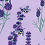 Sock it to me Ladies Crew - Bees and Lavender