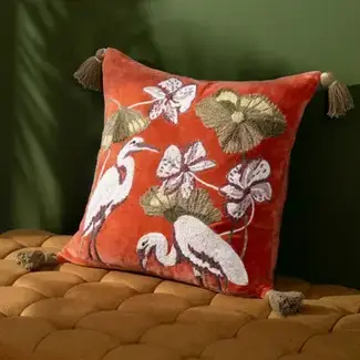 Kushiro Cushion Coral