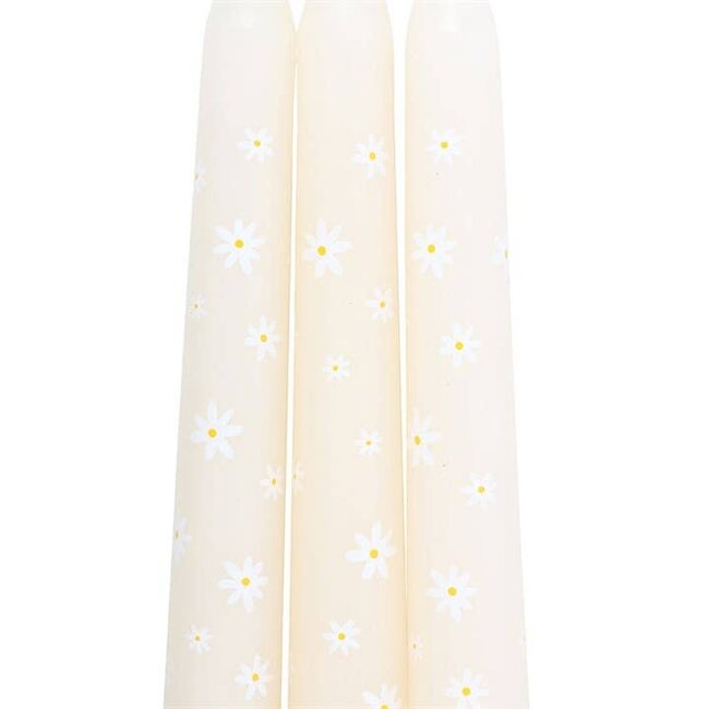 Set of 3 Carrot Patch White Daisy Taper Candles