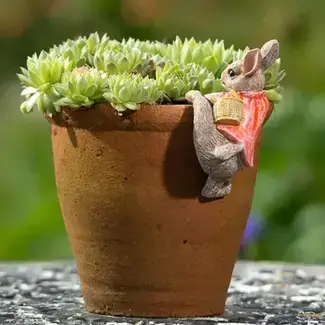 Plant Pot Hanger - Flopsy Bunny