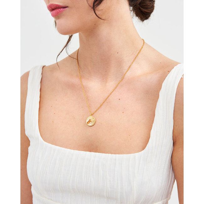 Fable England Fox Shadow Guide Necklace