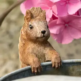 Plant Pot Hanger - Squirrel Nutkin