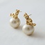 Cat Pearl Stud Earrings