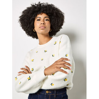Apricot Lemon Embroidered Jumper in Cream