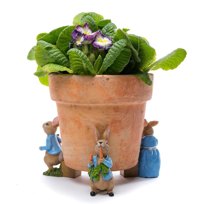 Peter Rabbit - Plant Pot Feet - Set of 3
