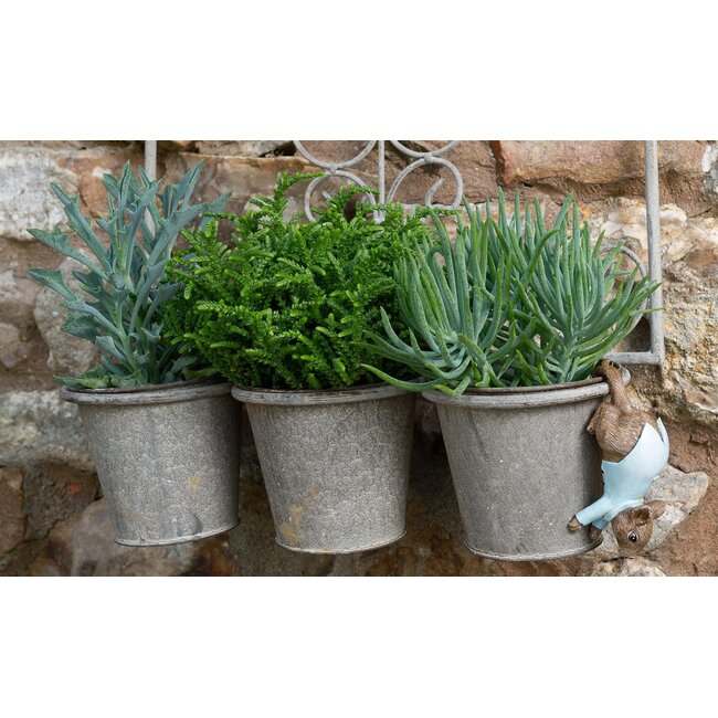 Plant Pot Hanger - Johnny Town-mouse