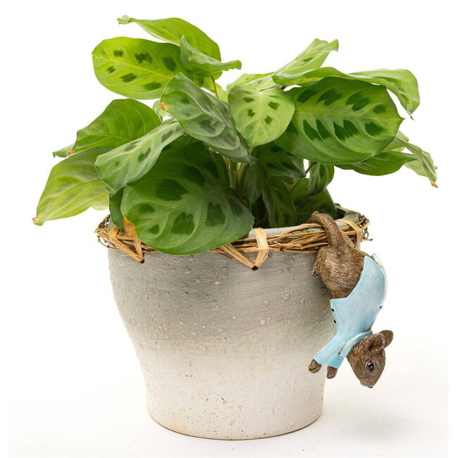 Plant Pot Hanger - Johnny Town-mouse
