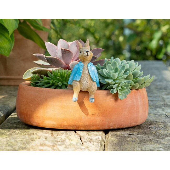 Plant Pot Hanger - Peter Rabbit Sitting