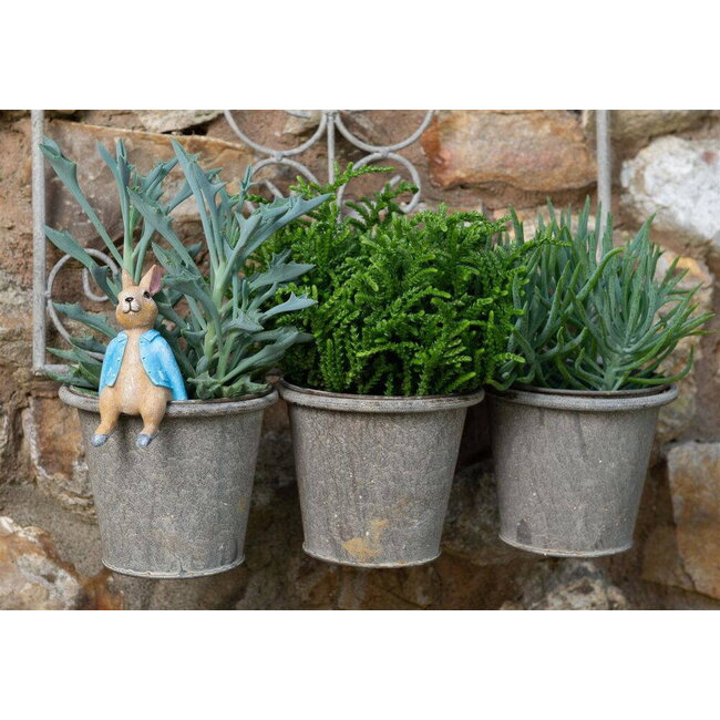 Plant Pot Hanger - Peter Rabbit Sitting