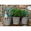 Plant Pot Hanger - Peter Rabbit Sitting