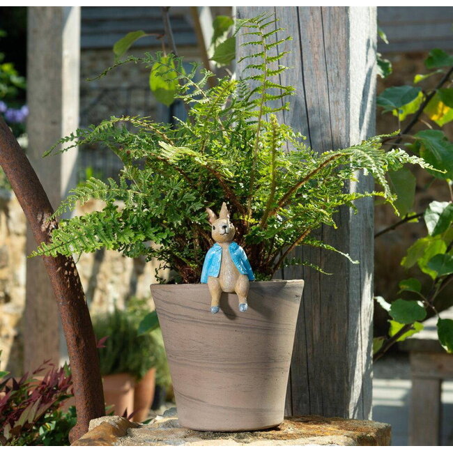 Plant Pot Hanger - Peter Rabbit Sitting