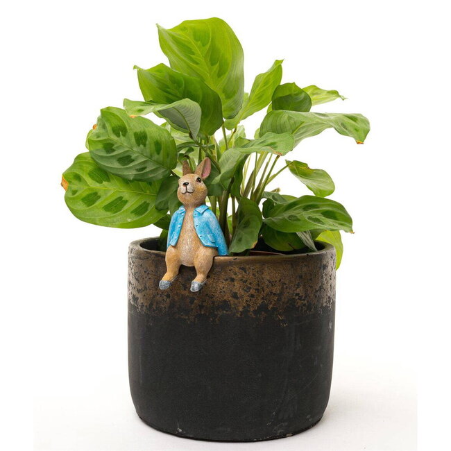 Plant Pot Hanger - Peter Rabbit Sitting