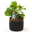 Plant Pot Hanger - Peter Rabbit Sitting