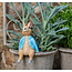Plant Pot Hanger - Peter Rabbit Sitting