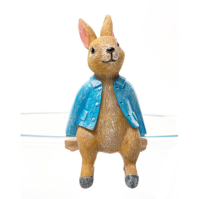Plant Pot Hanger - Peter Rabbit Sitting