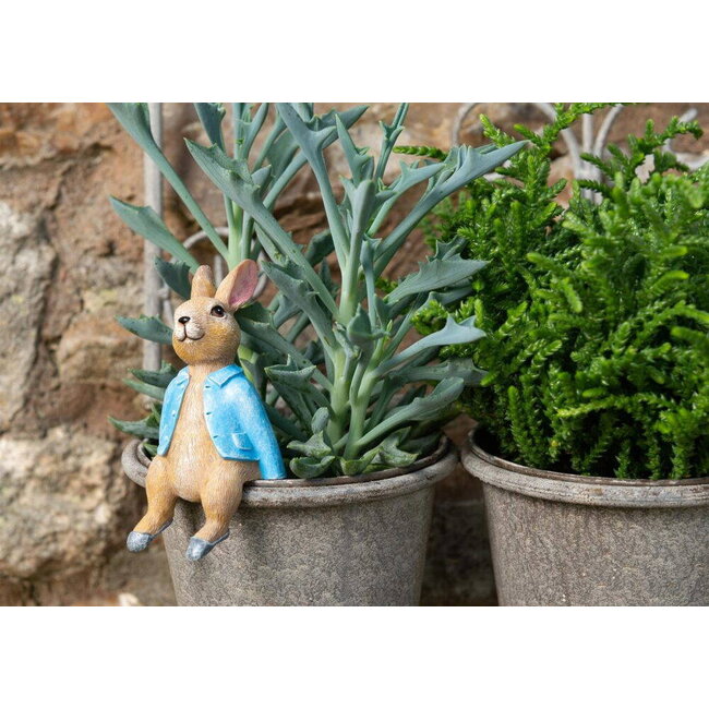 Plant Pot Hanger - Peter Rabbit Sitting
