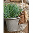 Plant Pot Hanger - Squirrel Nutkin