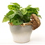 Plant Pot Hanger - Squirrel Nutkin