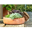Plant Pot Hanger - Squirrel Nutkin