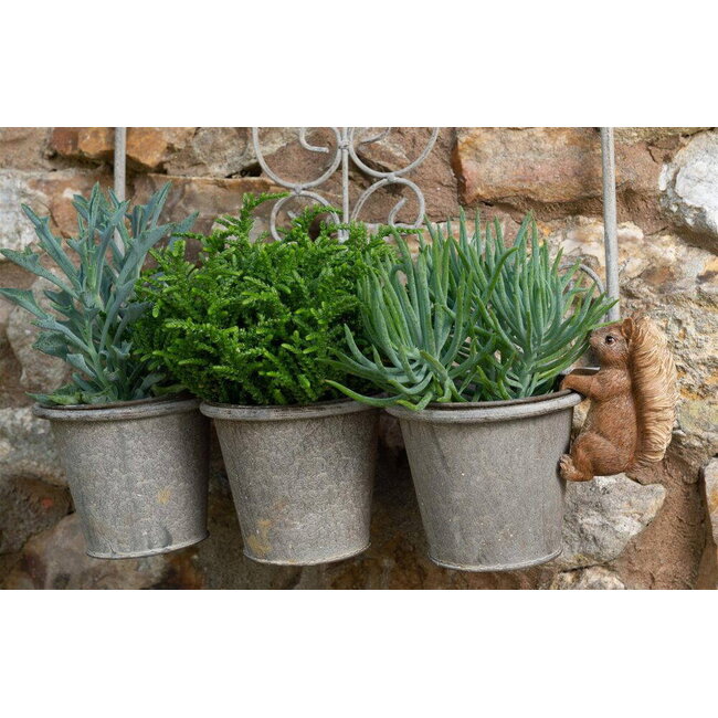 Plant Pot Hanger - Squirrel Nutkin