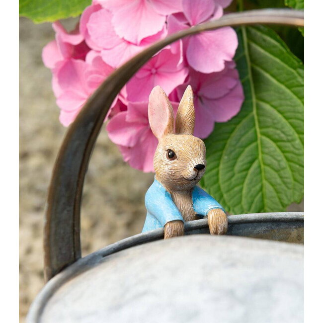 Plant Pot Hanger - Peter Rabbit Hanging