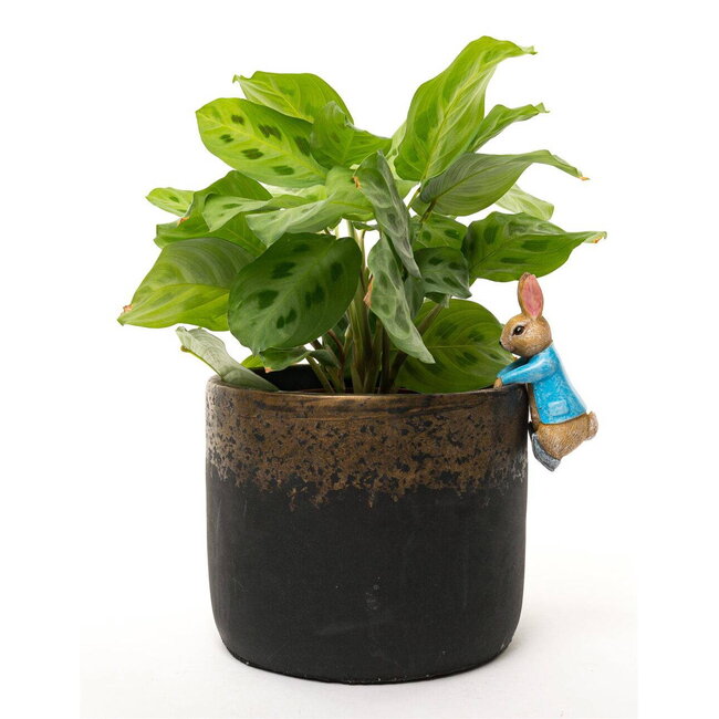 Plant Pot Hanger - Peter Rabbit Hanging