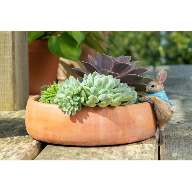 Plant Pot Hanger - Peter Rabbit Climbing