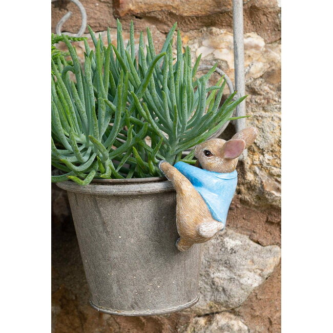 Plant Pot Hanger - Peter Rabbit Climbing