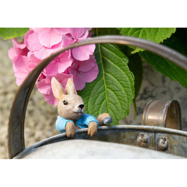 Plant Pot Hanger - Peter Rabbit Climbing