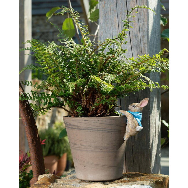 Plant Pot Hanger - Peter Rabbit Climbing