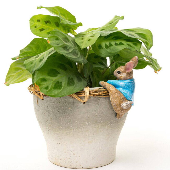 Plant Pot Hanger - Peter Rabbit Climbing