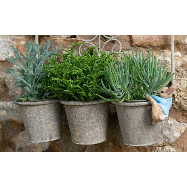 Plant Pot Hanger - Peter Rabbit Climbing