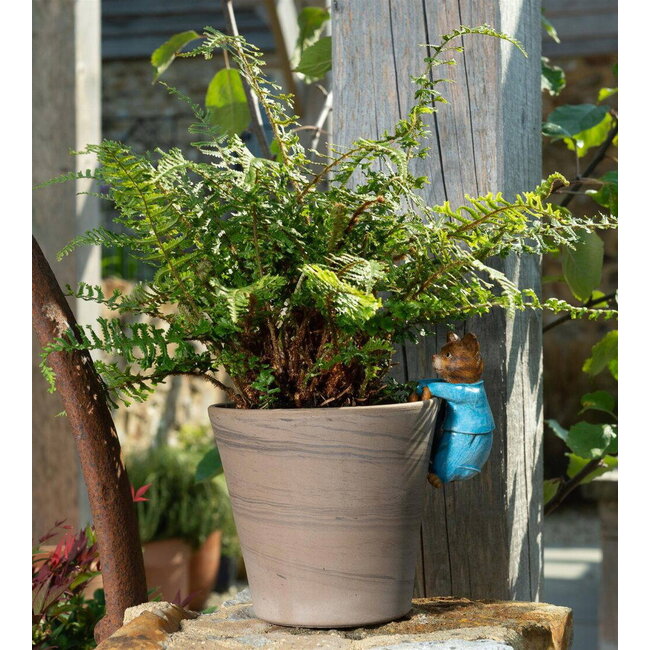 Plant Pot Hanger - Tom Kitten