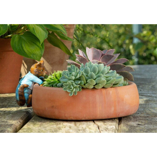 Plant Pot Hanger - Tom Kitten