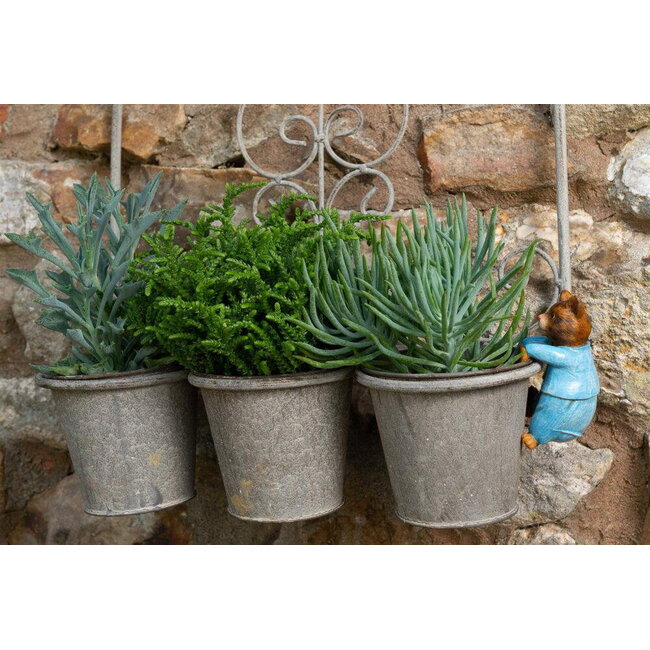 Plant Pot Hanger - Tom Kitten