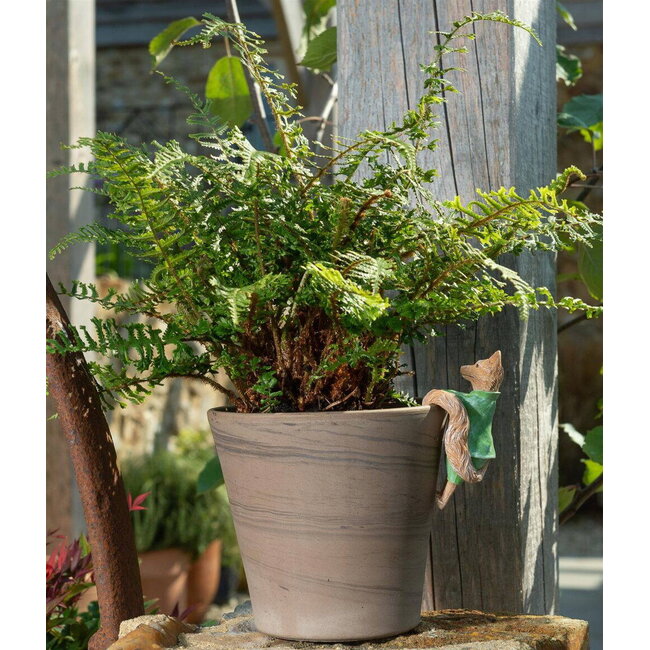 Plant Pot Hanger - Mr. Tod