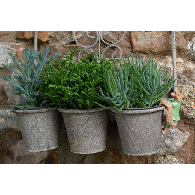 Plant Pot Hanger - Mr. Tod