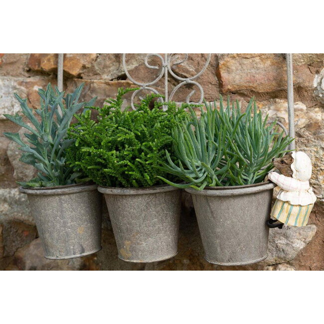 Plant Pot Hanger- Mrs. Tiggy-Winkle