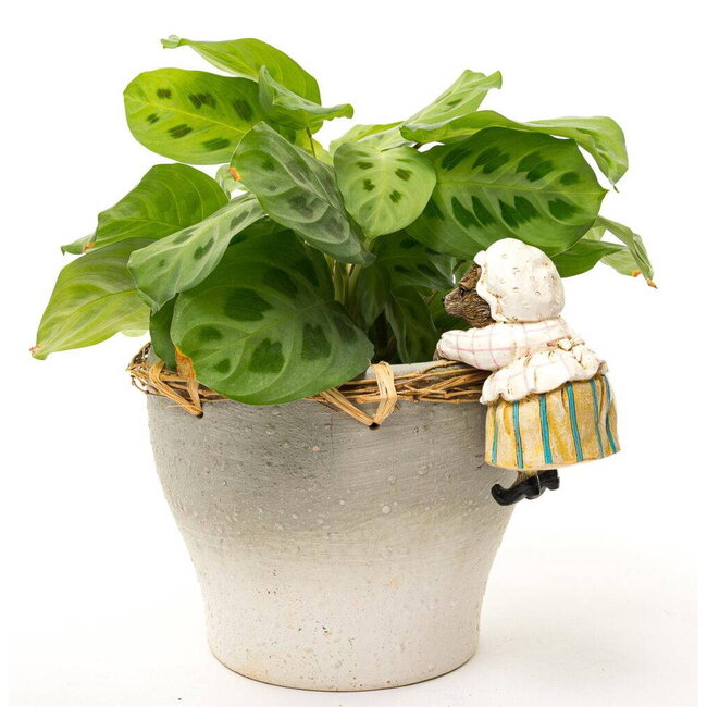 Plant Pot Hanger- Mrs. Tiggy-Winkle