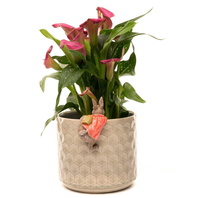Plant Pot Hanger - Flopsy Bunny