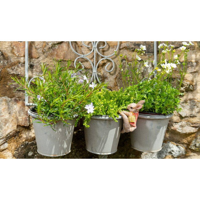Plant Pot Hanger - Flopsy Bunny