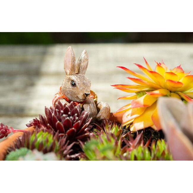 Plant Pot Hanger - Flopsy Bunny
