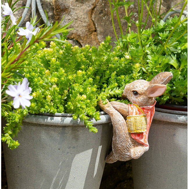 Plant Pot Hanger - Flopsy Bunny