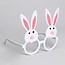 E&S Accessories White Easter Bunny Frames