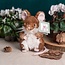 Wrendale Oliver Mouse - Medium Plush