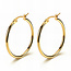 Waterproof Medium Gold Hoops